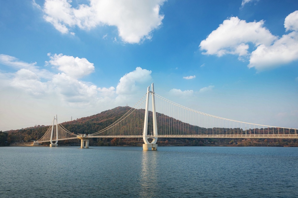 [기획] 지속가능한 논산발전 위한 먹거리, 논산은 이미 모든 준비 끝났다!