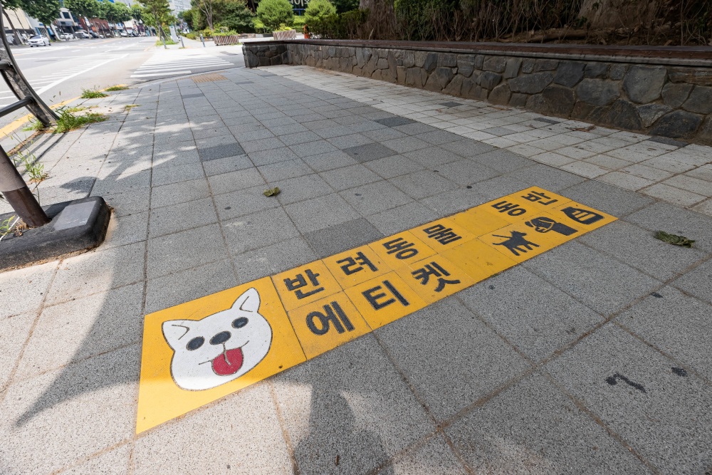 광진구, 서울시 최초 반려인을 위한 ‘펫 스트리트’ 조성