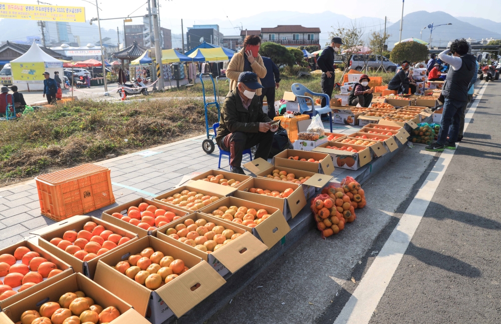 구례군, 오는 23일부터 ‘구례 감 특별 직거래 장터’ 운영