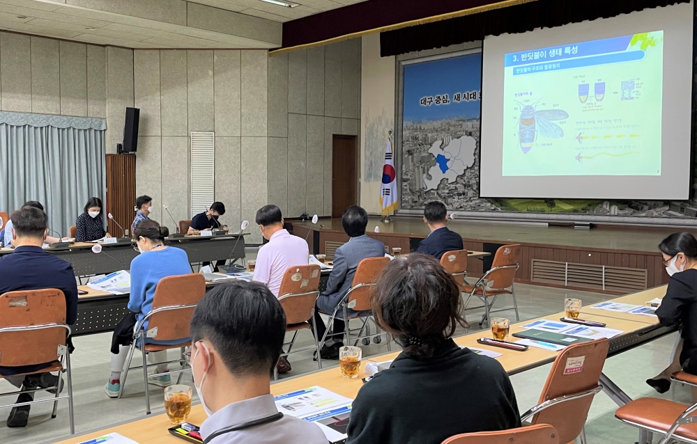 달서구, 수밭골천 생태환경조사 용역 중간보고회 개최