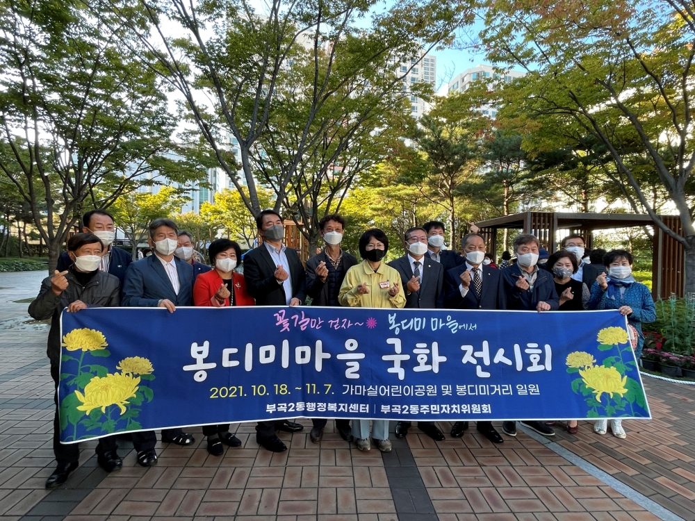 주민들 키운 국화꽃에 봉디미마을은 웃음꽃