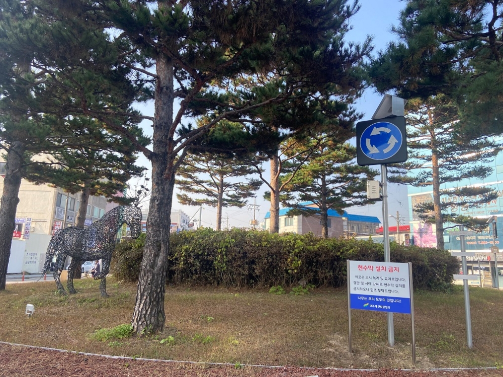 여주시, 가로수 등 도로변 수목에 현수막 게시 금지