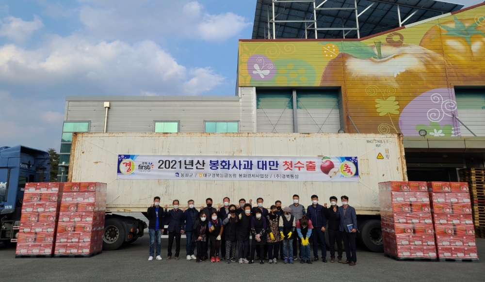 봉화사과 대만 수출 시작으로 올해 첫 하늘길 열다