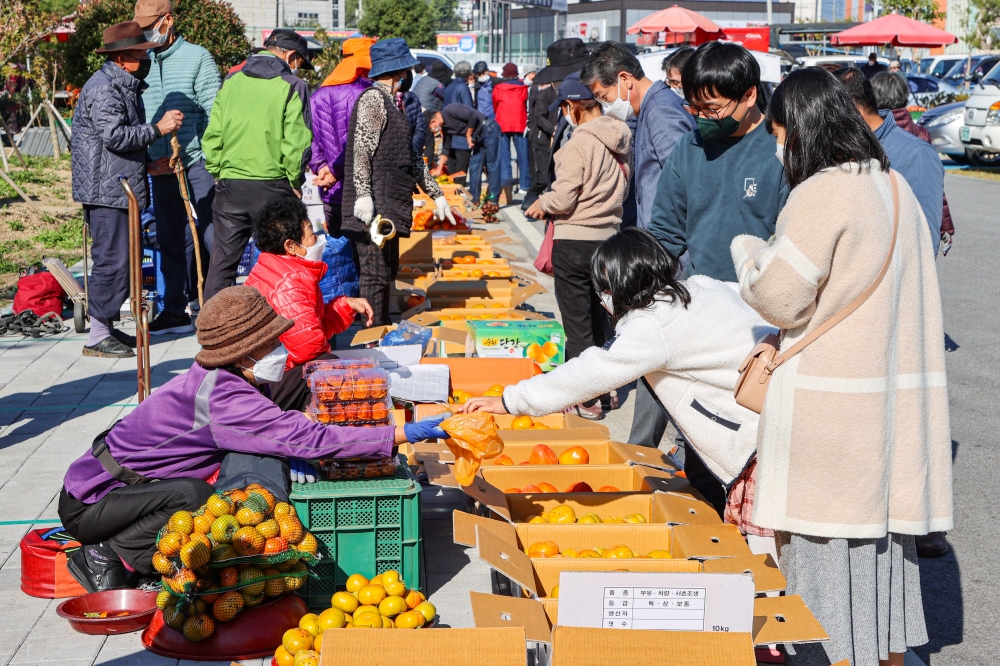 ‘구례 감 특별 직거래 장터’ 성황리에 마무리