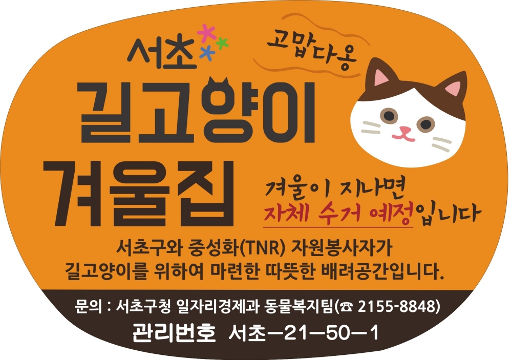 서초구, 겨울철 길고양이 위한 겨울집 200개로 확대 설치!