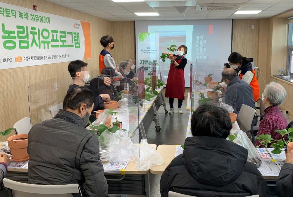 수성구치매안심센터, 치매극복 치유농림프로그램 운영