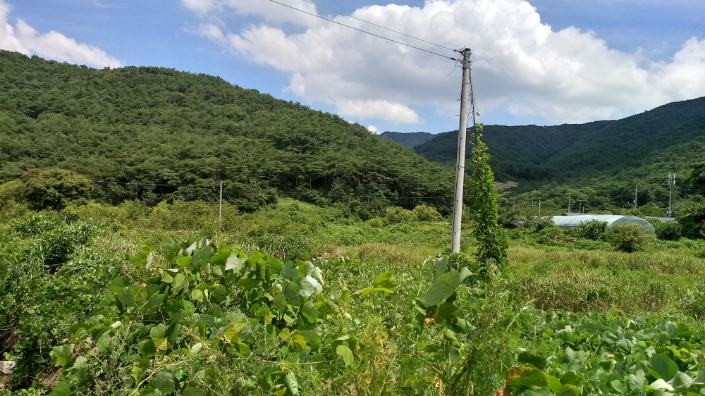 고창군, 2022년도 고창군 산림유역관리 공모사업 선정