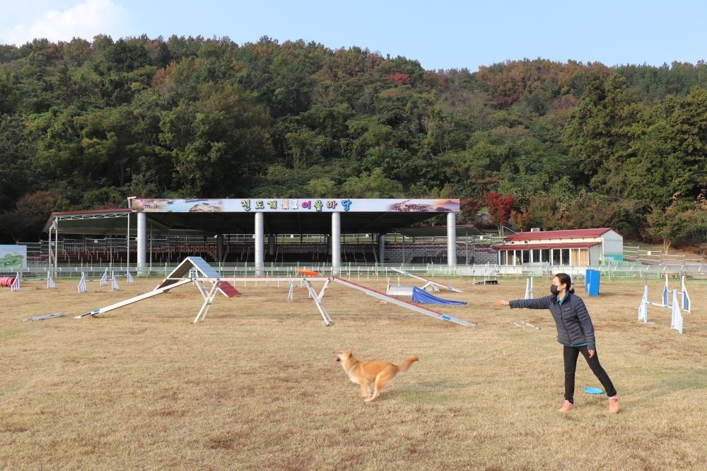 진도군, 반려견의 친구 ‘진도개테마파크’ 연중 무료 개방
