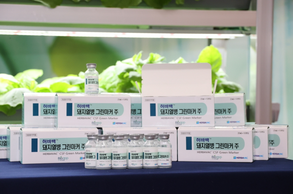 돼지열병 그린백신 국내시장 첫 출시, ‘돼지열병 청정국’ 머지않아