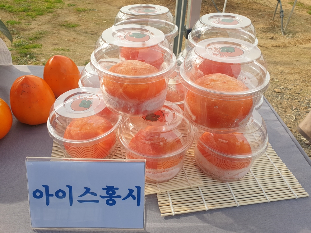 의령군, 감 말랭이용 신품종 ‘감누리’ 보급박차