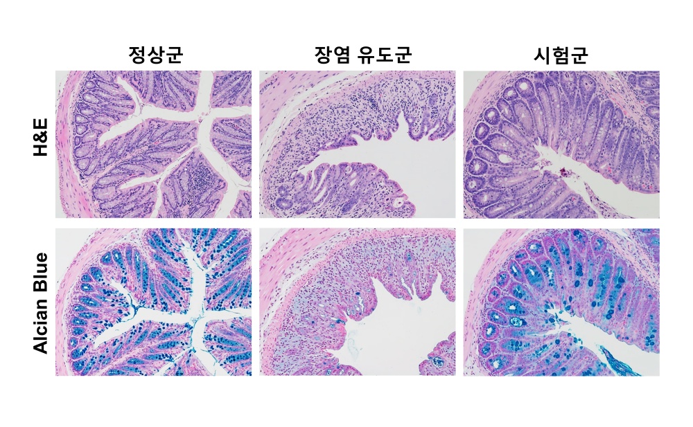 전북도내 농생명식품분야 기업 성장을 위한 ‘농생명 소재 안전성 및 기능성 평가’ 지원