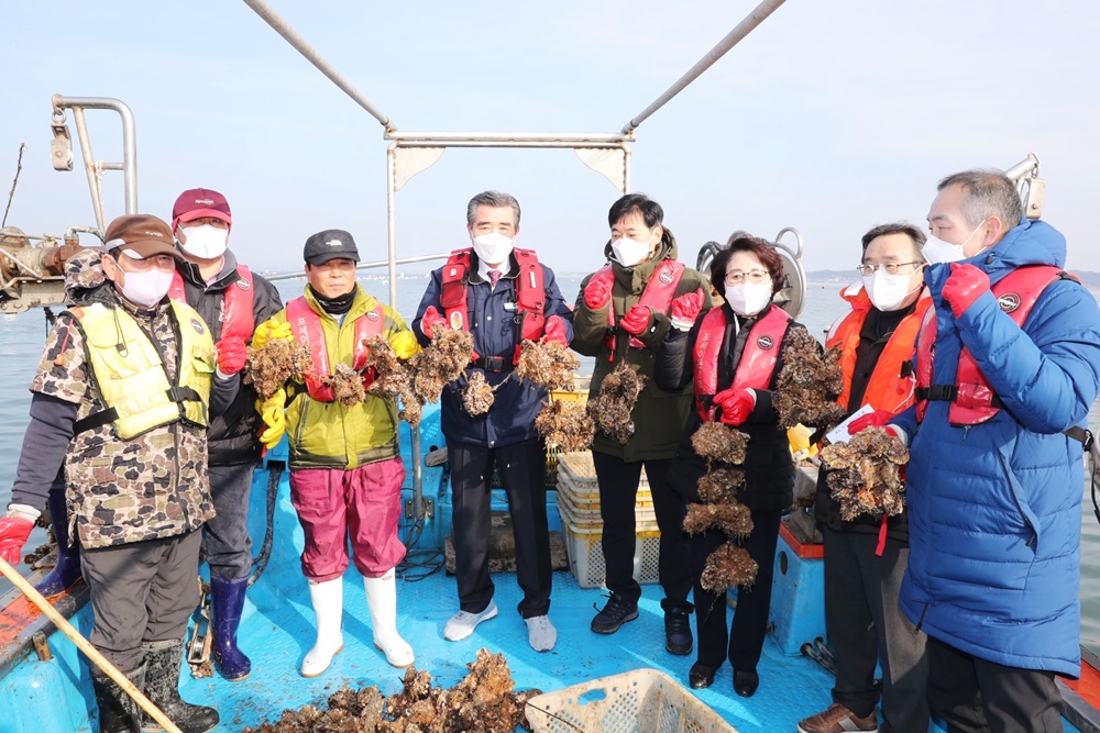 보령시, 지역 대표 수산물 명품 천북굴 양식시설 현대화 ‘착착’