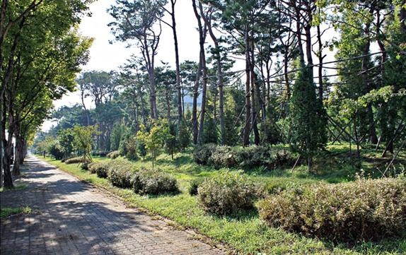 동두천시, 탄소중립도시를 위한 미세먼지 차단 숲 조성