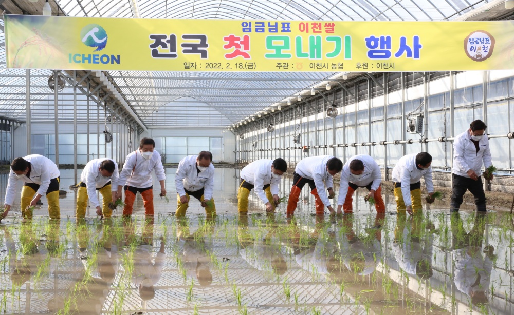 경기 이천시, 전국에서 첫 모내기 실시