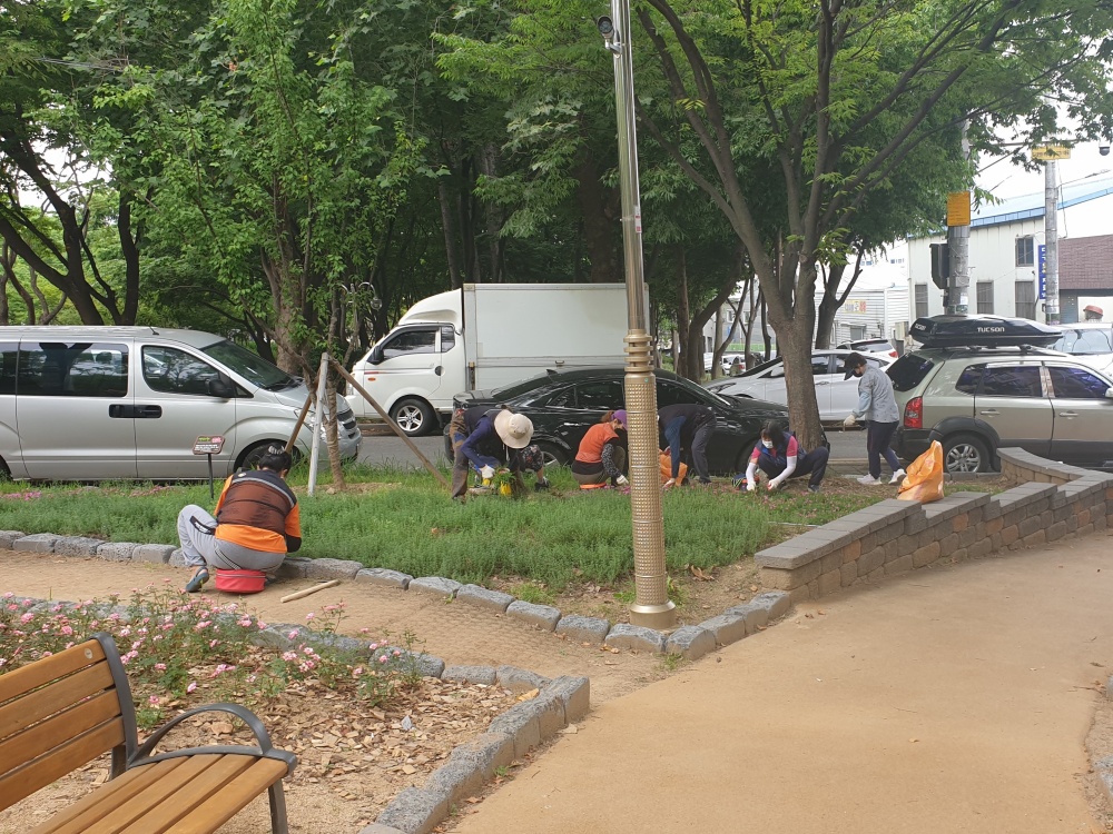 대구 서구, 방역 및 공공근로 인력 총 330명 선발