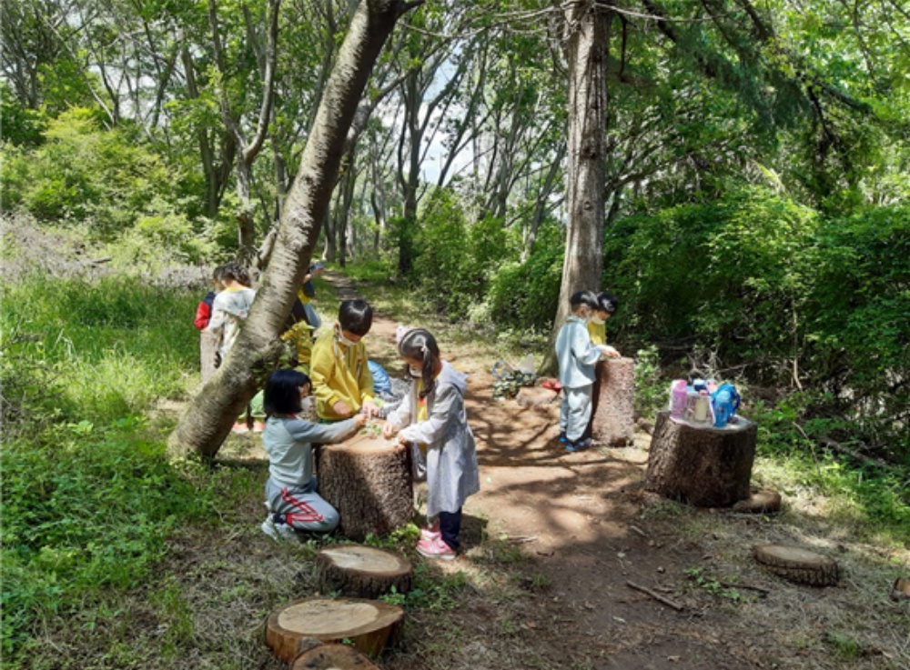 부산 북구, ‘자연 친화형 유아 숲 교육’ 자연과 교감