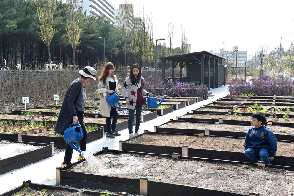 노원구, 공공 도시텃밭 407구획 분양...4일까지 접수