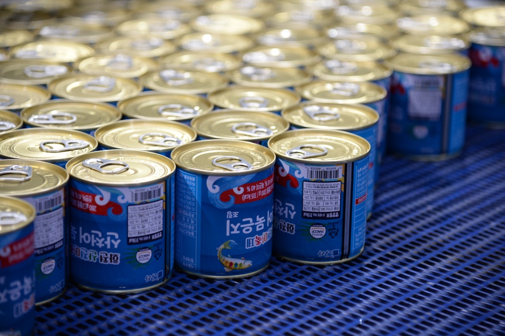 화천군, 카카오메이커스와 산천어 묵은지 통조림 온라인 판매