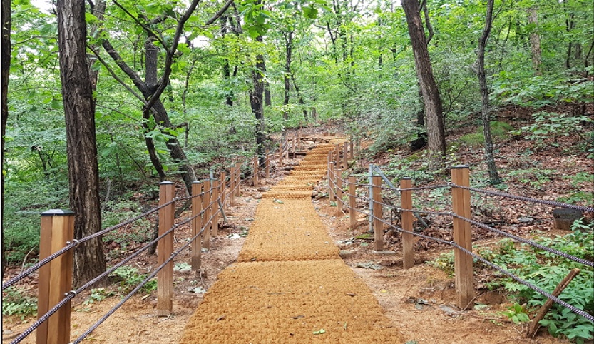 안양시, 금년 등산로 10km구간 정비.‘숲길정비 사업’3억원 투입