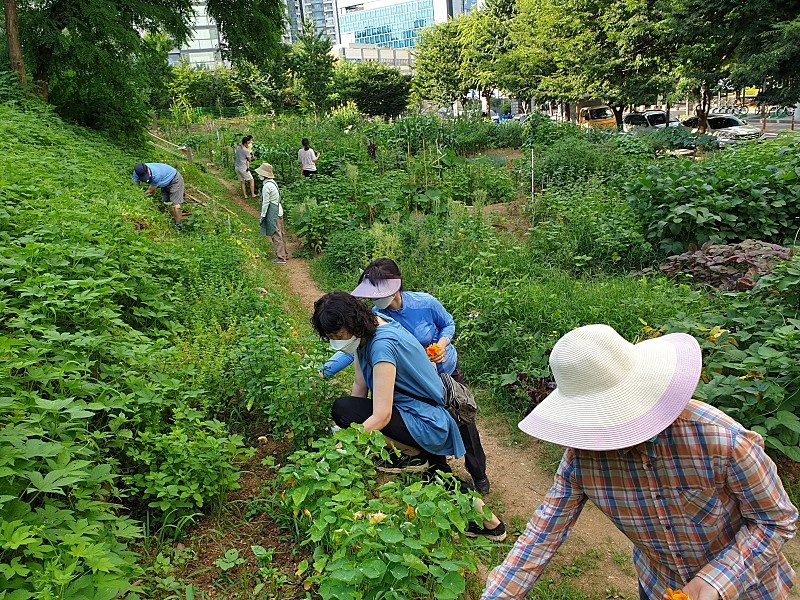 마포구, ‘2022년 자투리텃밭’ 무료 분양