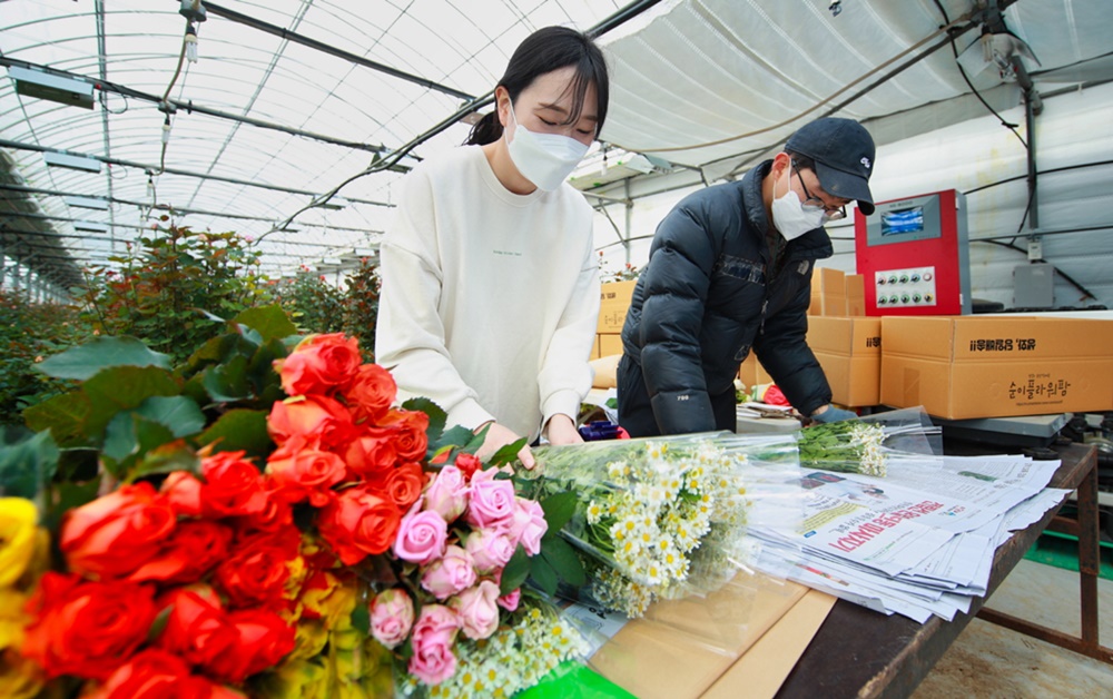 “졸업·입학 꽃 선물도 인터넷 쇼핑으로” 태안군 ‘온라인 꽃 판매’ 인기