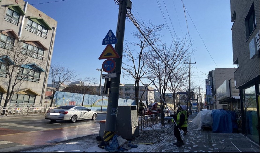 여주시 가로수 메워심기 착공...쾌적하고 아름다운 보행환경 제공