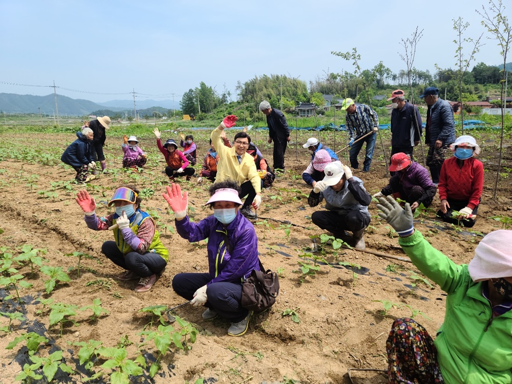 보성군, 2022년 보성600 사업 16일부터 시작