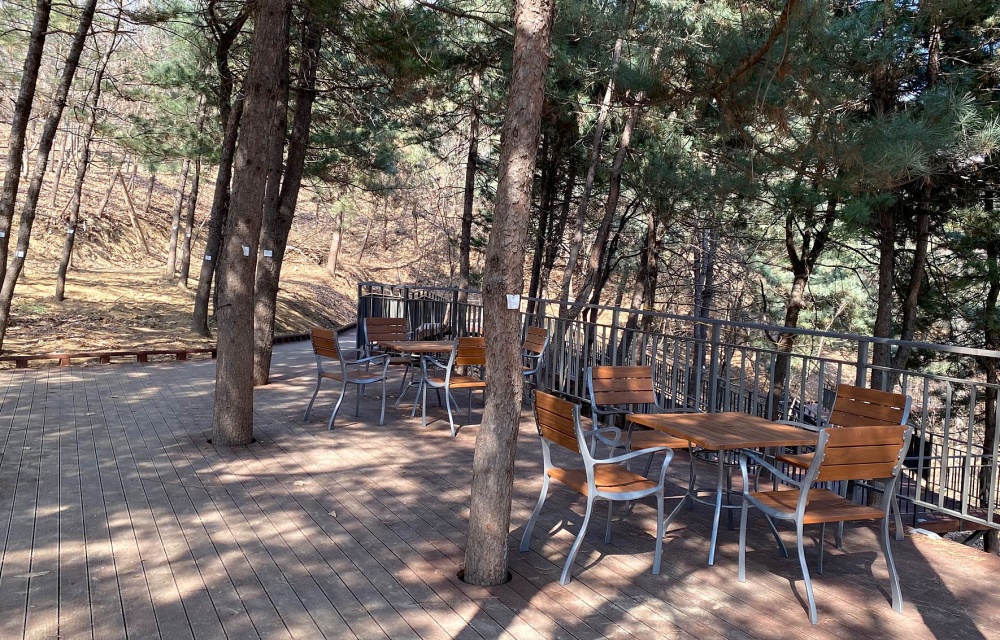 강남 도심 속 힐링공간 ‘걷고 싶은 매봉길’ 조성 완료