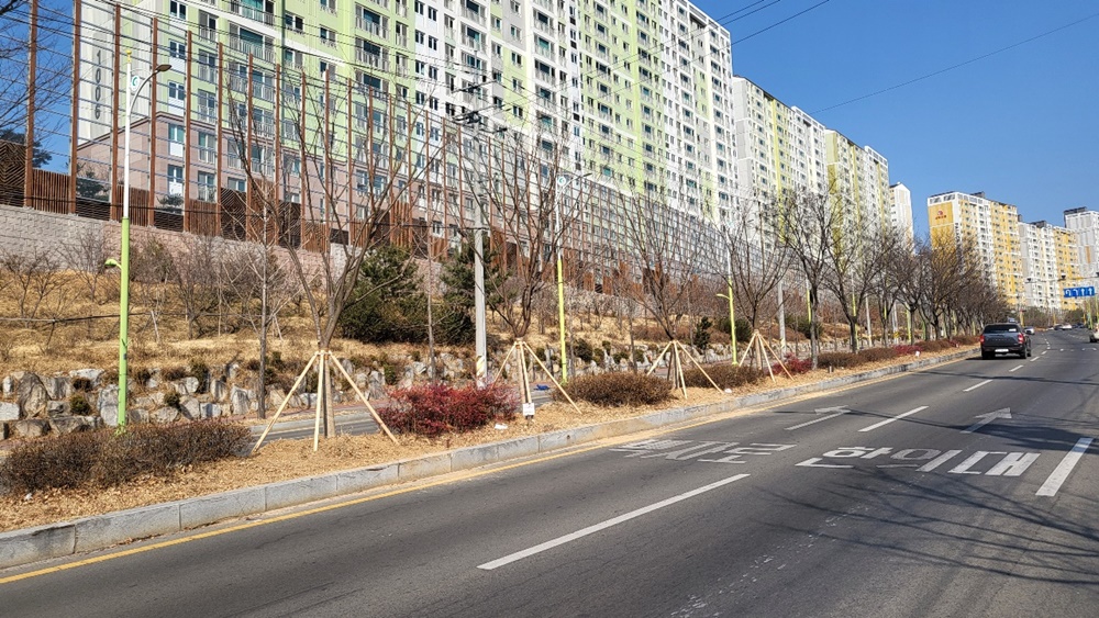 경산시, 특색 가로수길 조성