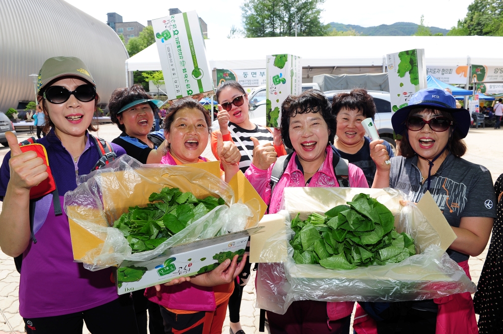 3년 만에 '2022 양구 곰취축제' 개최