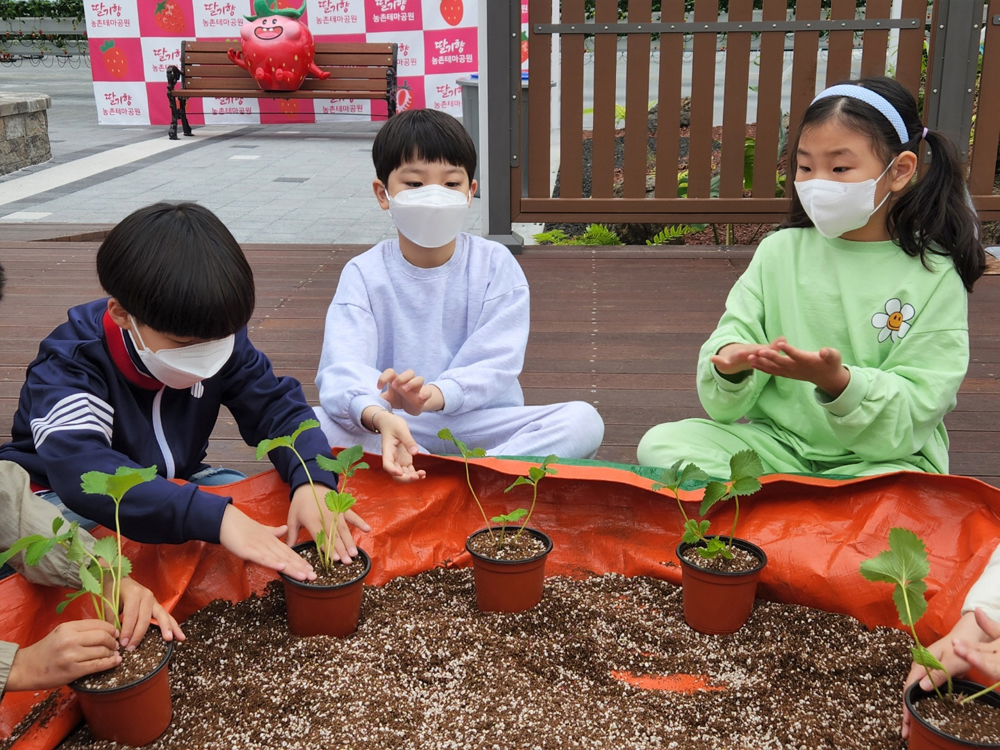 논산시, 새콤달콤 '논산딸기' 사계절 즐길 수 있는 공간 마련돼