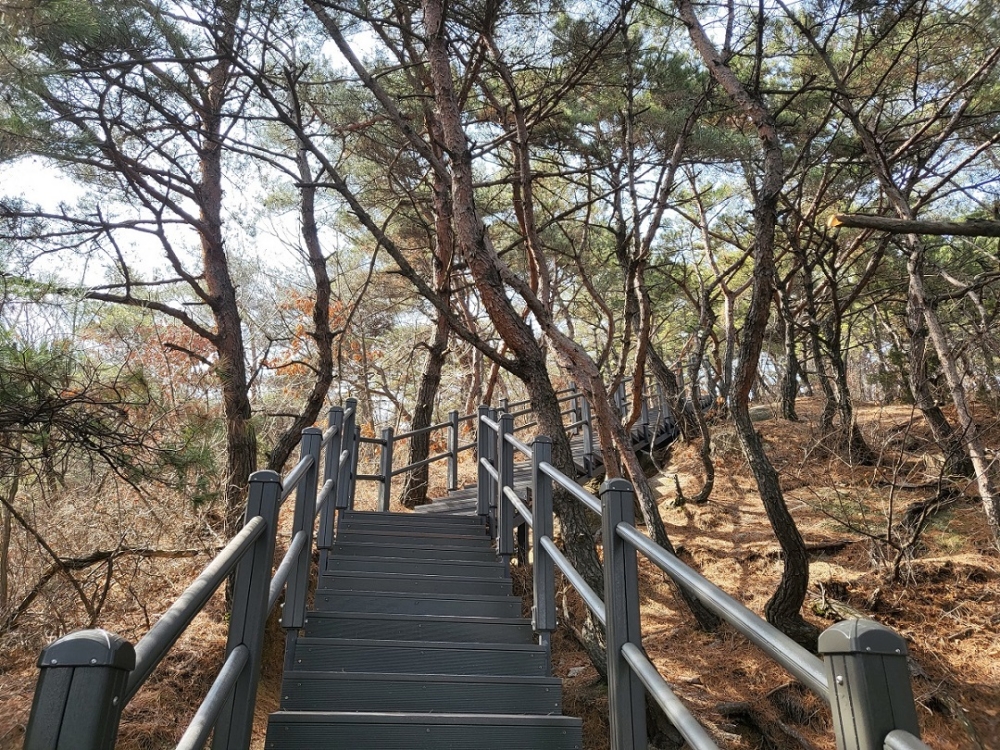 '안전한 산행 도와요' 종로구, 인왕산 등산로 정비 완료