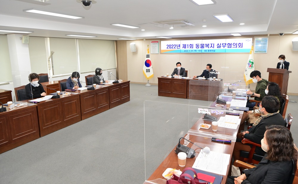 부산 해운대구, 캣맘 제도권 편입 동물보호에 함께 나선다