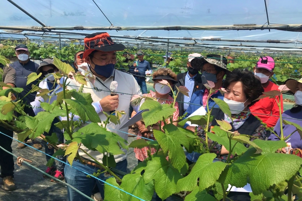 포천시, 대표 특산물 사과·포도 전문농업인 육성 박차