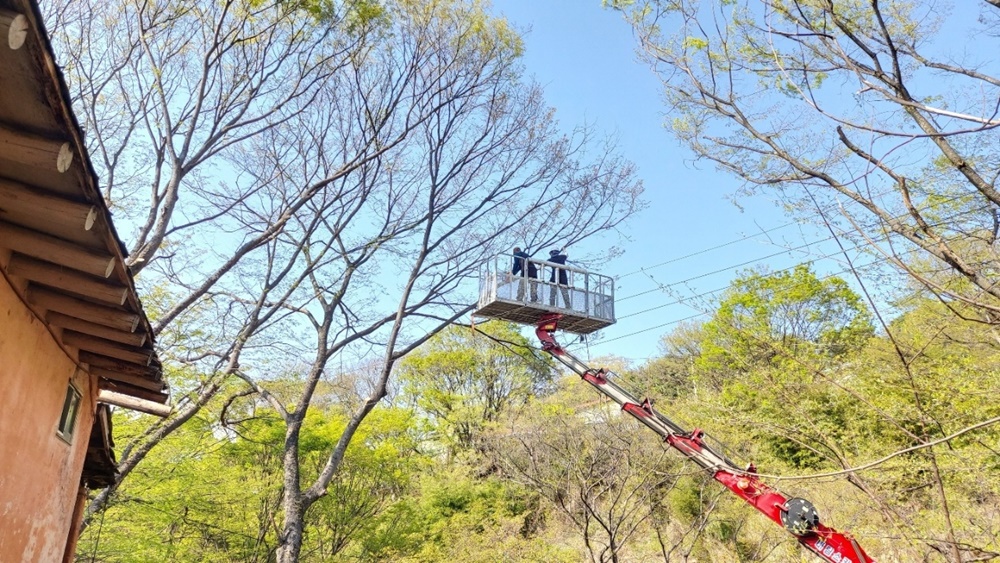 군위군, 생활권 주변 주택 피해목 제거사업 완료