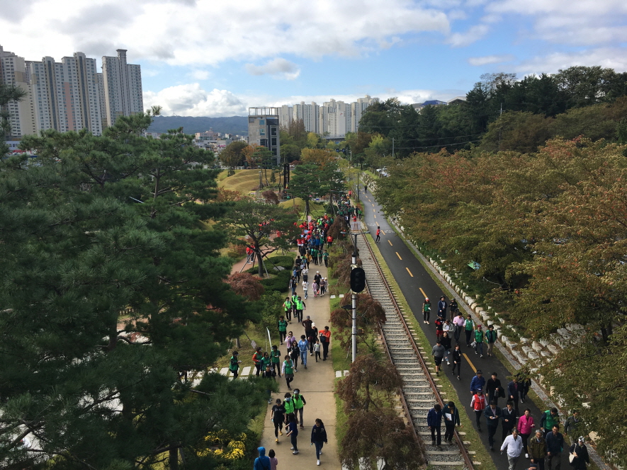 포항 철길숲, 매일 3만 명 이상 걷는다... 일상 속 필수공간으로 자리매김!