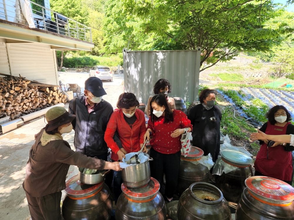 경산시, '도시소비자 농촌체험행사’ 실시...지역 농산물 우수성 홍보