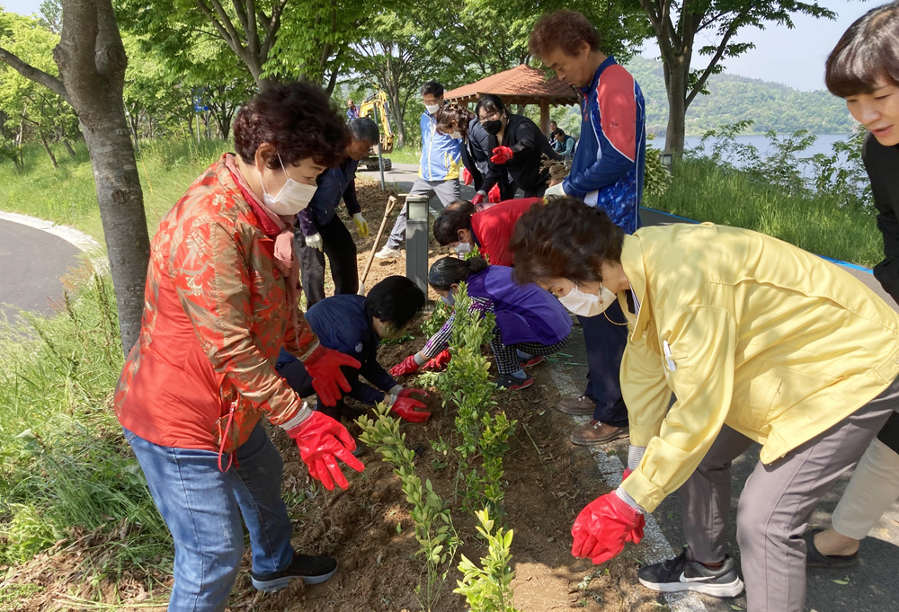 나주, 이창동 영산포풍물시장에 금빛물결 수놓아