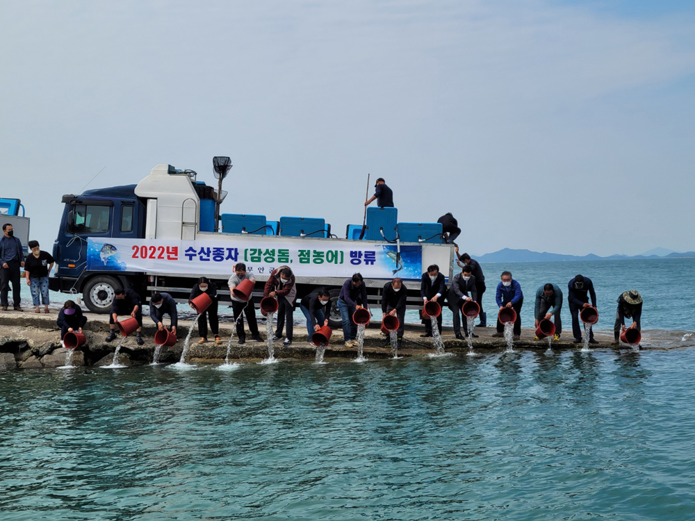 무안군, 수산종자 방류로 어족자원 회복