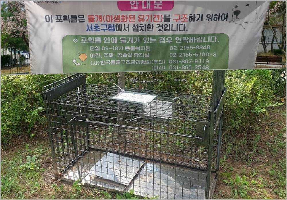 서초구, 들개 포획틀 설치해 주민안전 보호한다!
