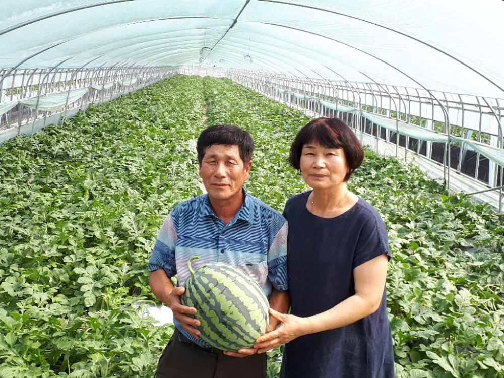 익산 탑마루 수박, 올해 첫 수출길 물꼬