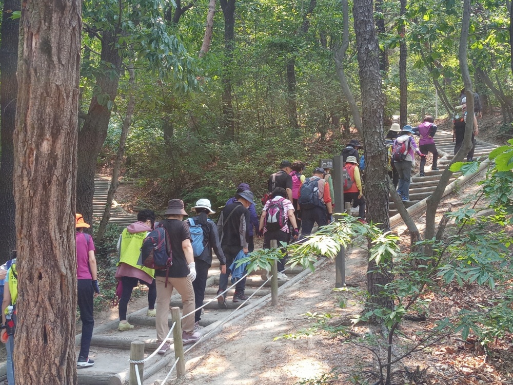 서울시 강북구, ‘도란도란 좋은 길 힐링걷기’로 지친 일상 치유하세요