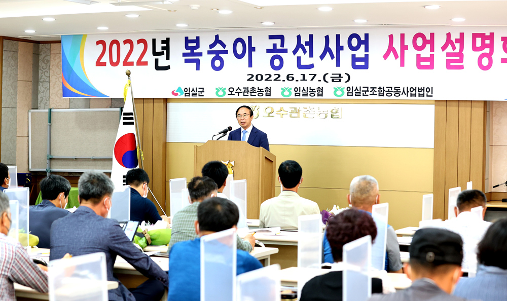 임실군, 대표농산물 복숭아 역대 최대 매출 기록