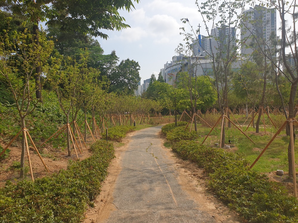 인천시 남동구, 남동국가산단 인근 늘솔길근린공원에 미세먼지 차단 숲 조성