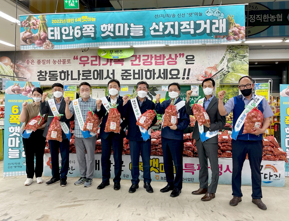 태안군, ‘태안 대표 명품’ 육쪽마늘 대도시 소비자 만난다