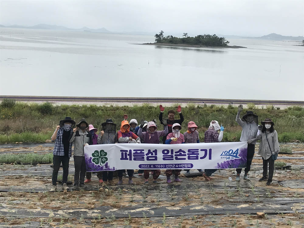 신안군4-H연합회, 퍼플섬 가꾸기 봉사활동 실시