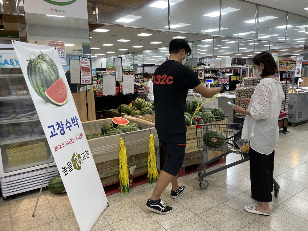 고창군, 높을고창 수박 제주도 여름을 시원하게 만들다