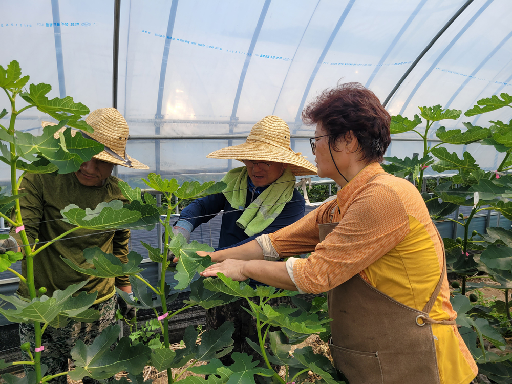 강진군, 신규 농업인 실습 교육 현장 열기 후끈