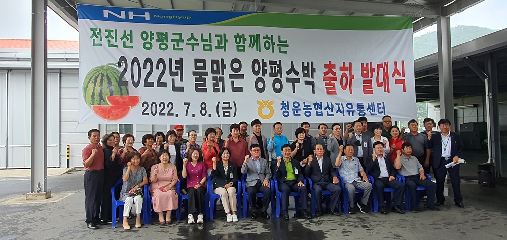 양평군, 물맑은 양평 수박 본격적인 출하 시작