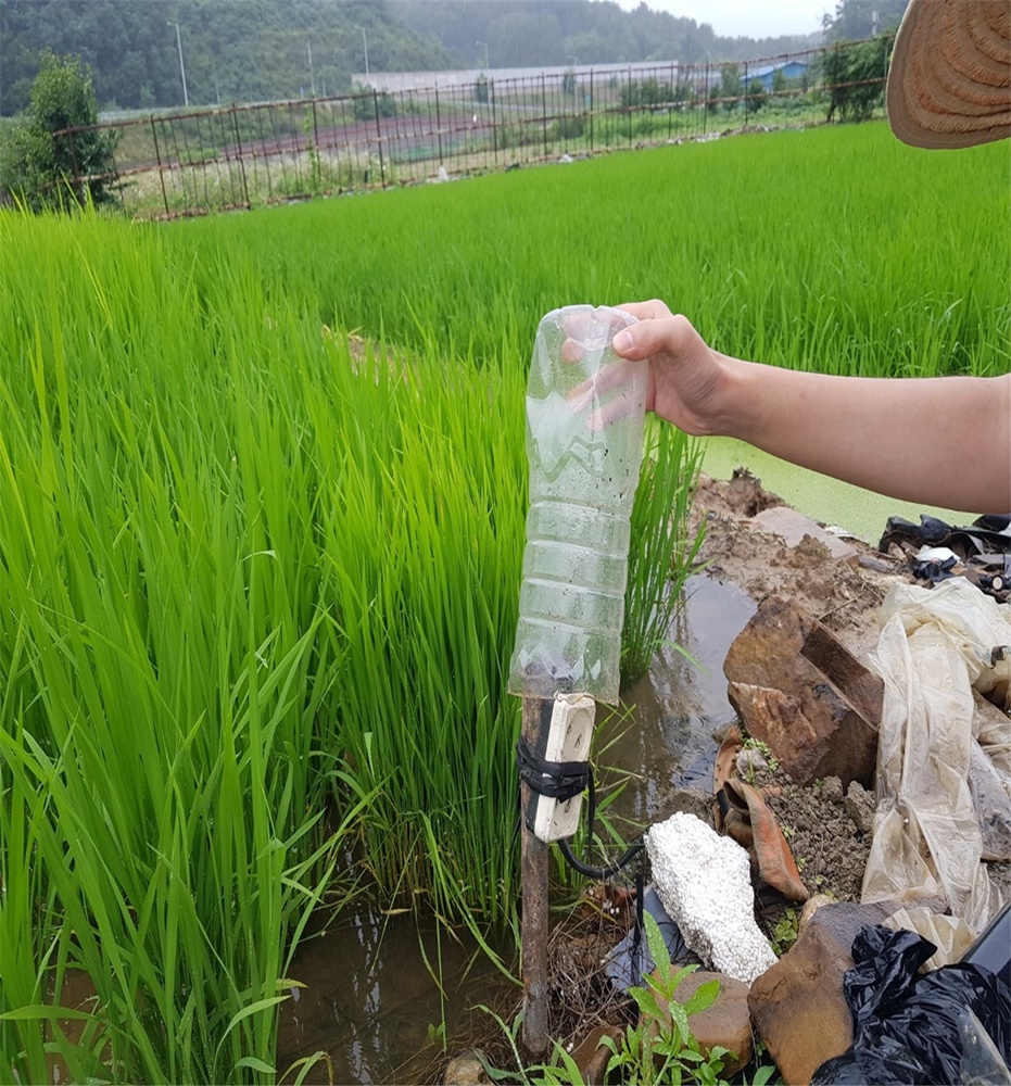 경북농기원, 장마철 농작물 피해 우려... 관리 당부